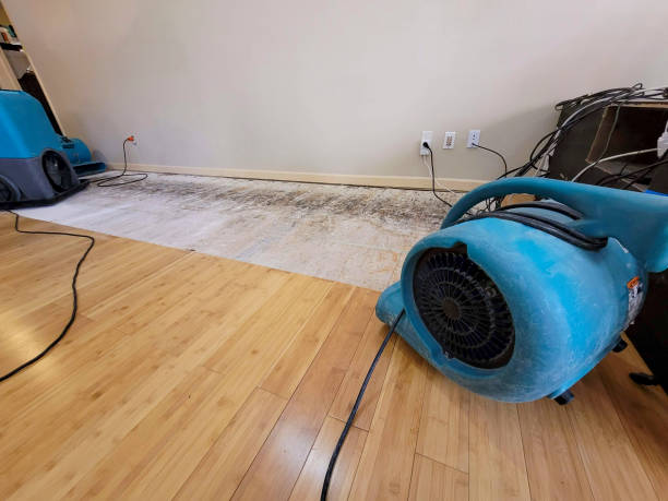 Professional Water Damage Repair technician working in Midway, WV